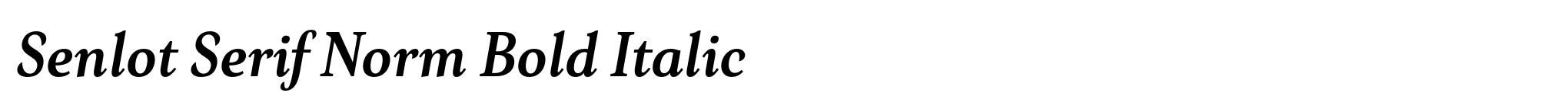 Senlot Serif Norm Bold Italic image